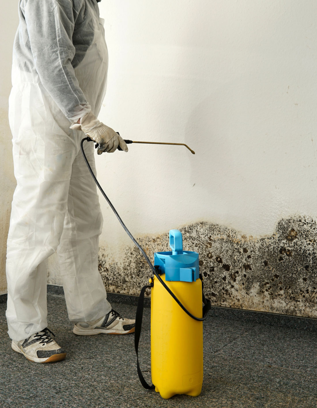mold-img1